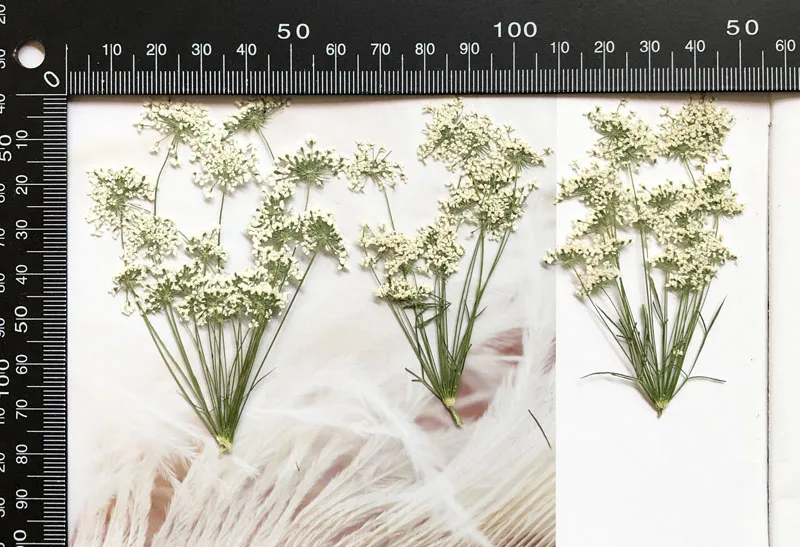 5-7 см/12 шт., снежные крошечн – обзор и цена Craft Embellishments